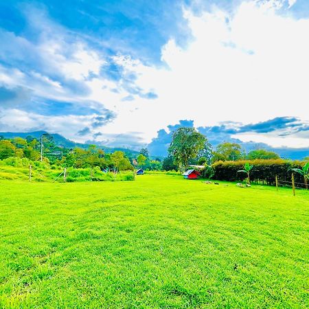 Ecoxplora-Zona De Camping Jardín Esterno foto