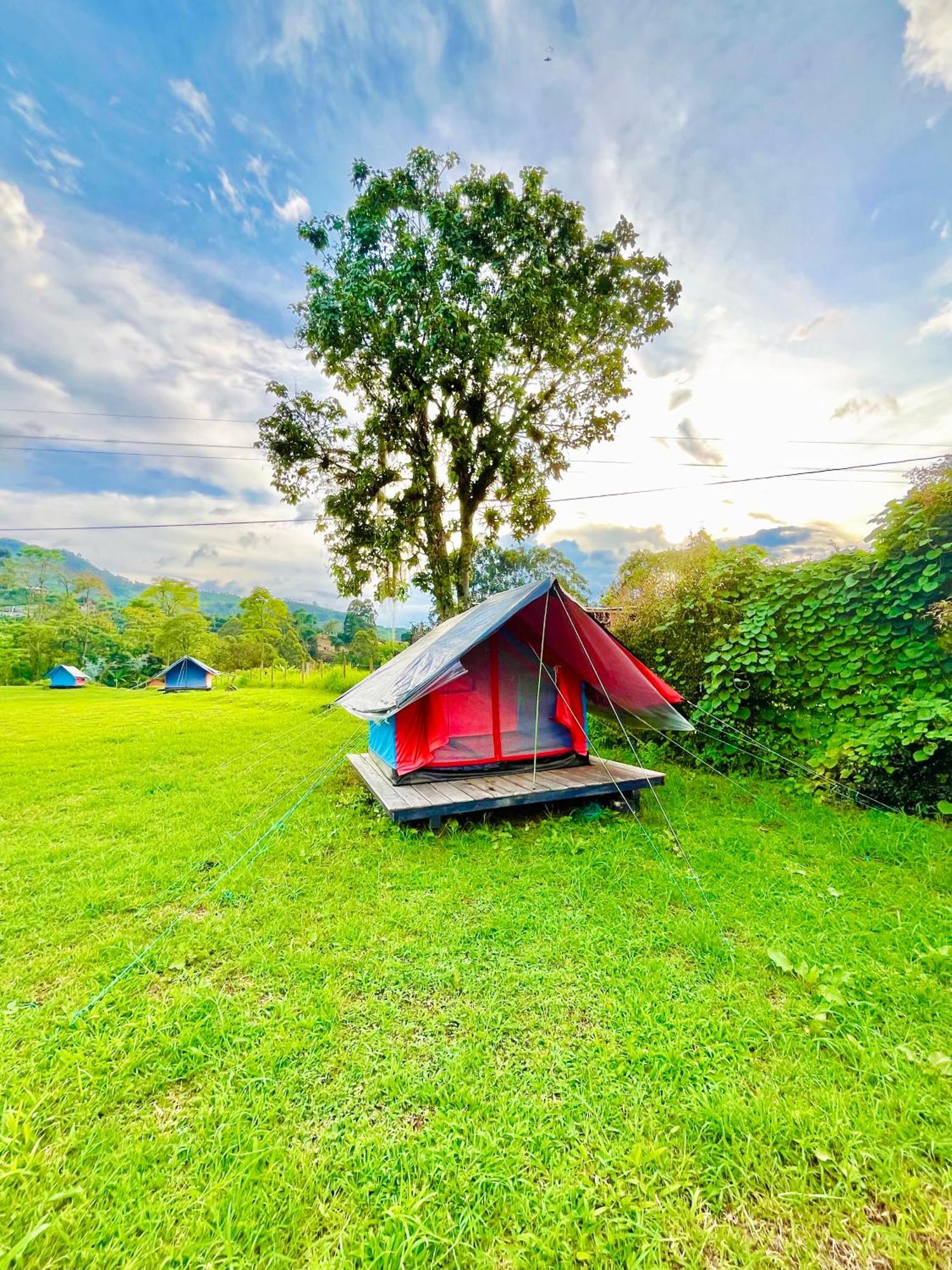 Ecoxplora-Zona De Camping Jardín Esterno foto