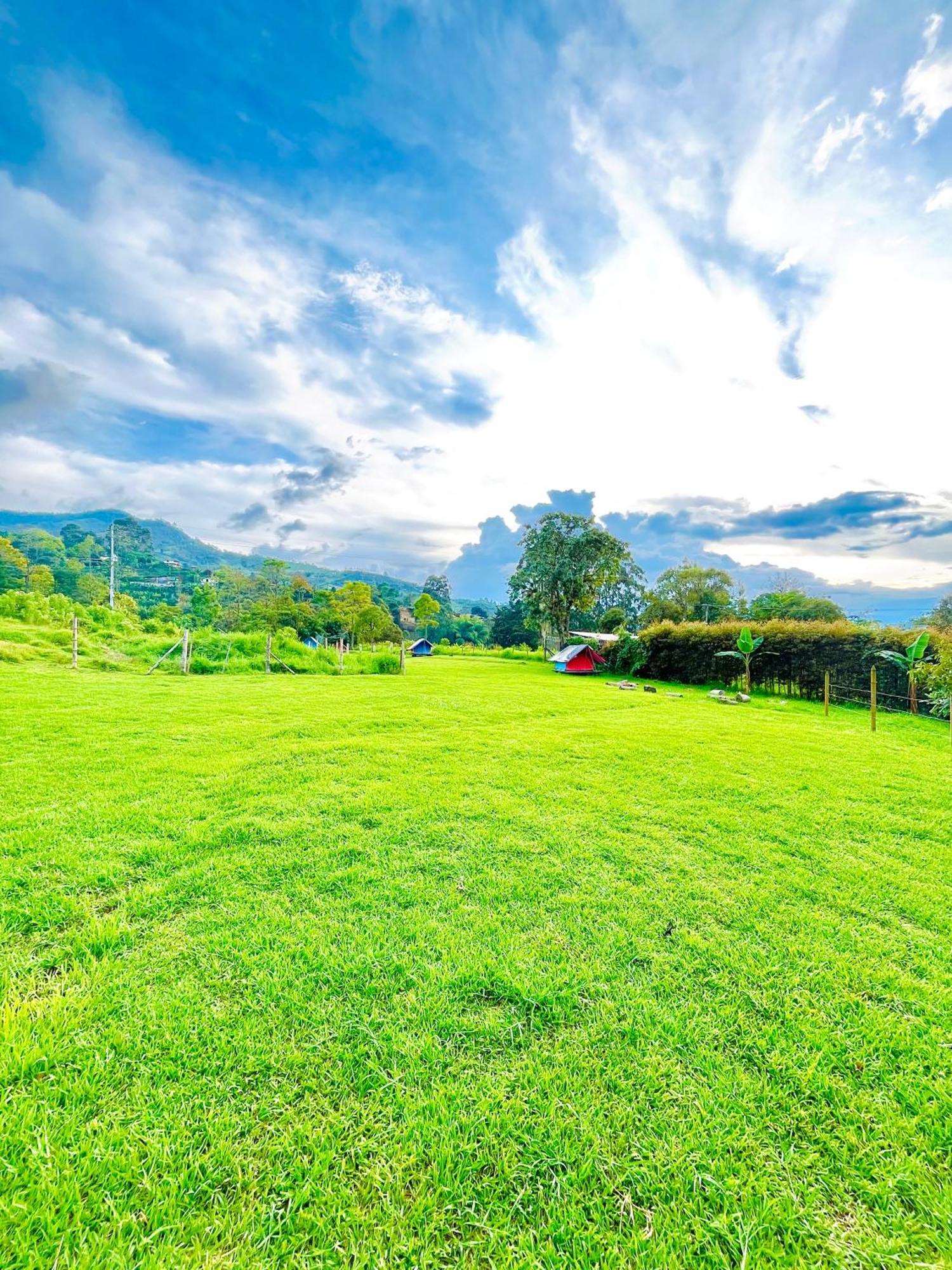 Ecoxplora-Zona De Camping Jardín Esterno foto