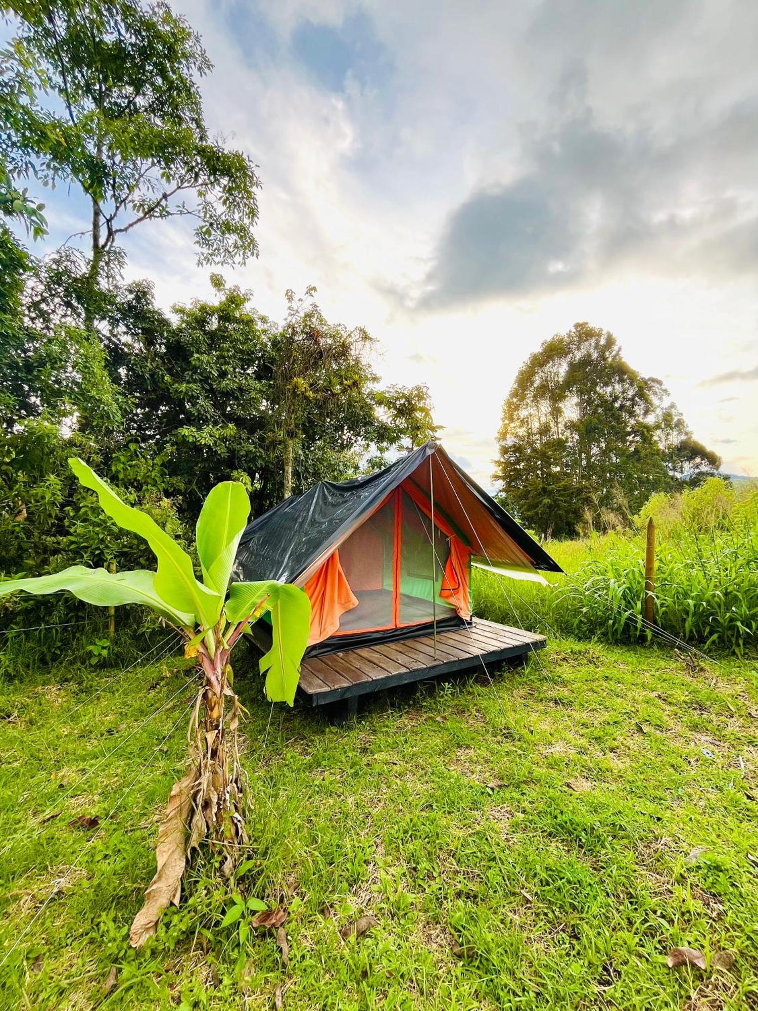 Ecoxplora-Zona De Camping Jardín Esterno foto