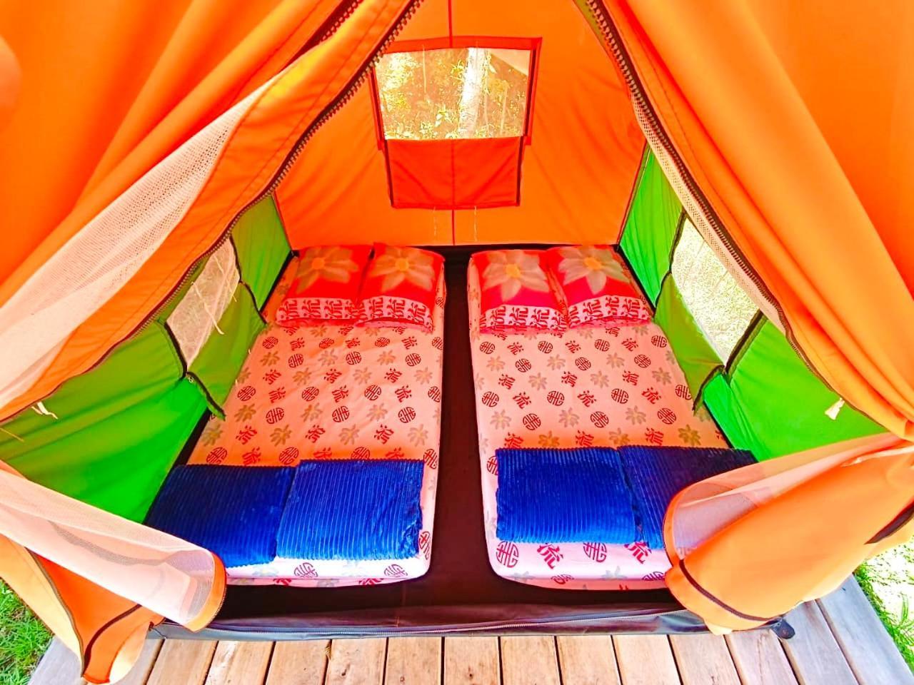 Ecoxplora-Zona De Camping Jardín Esterno foto